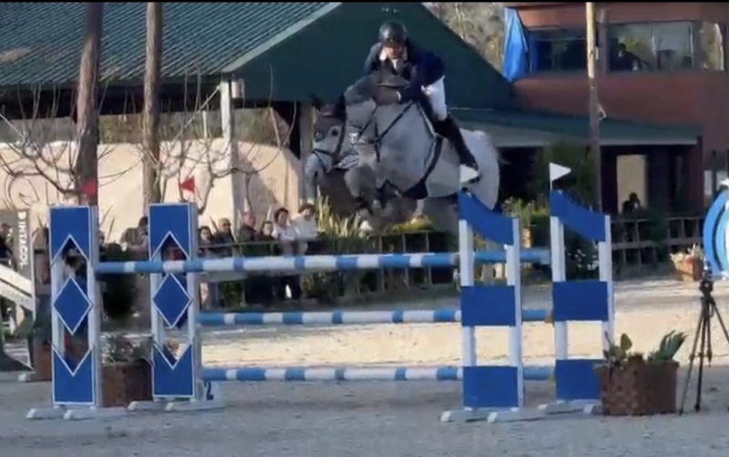 Pegasus From Second Life Z