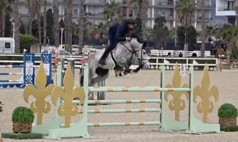 Pegasus From Second Life Z