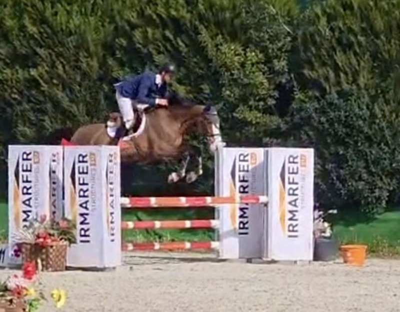 Elite From Second Life Z